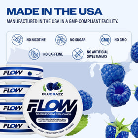 Flow Pouches Poches Nootropiques 600mg Lion's Mane Reishi Cordyceps - utilisation en voyage