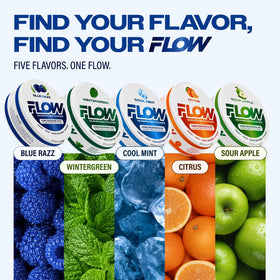 Flow Pouches Poches Nootropiques 600mg Lion's Mane Reishi Cordyceps - vue latérale