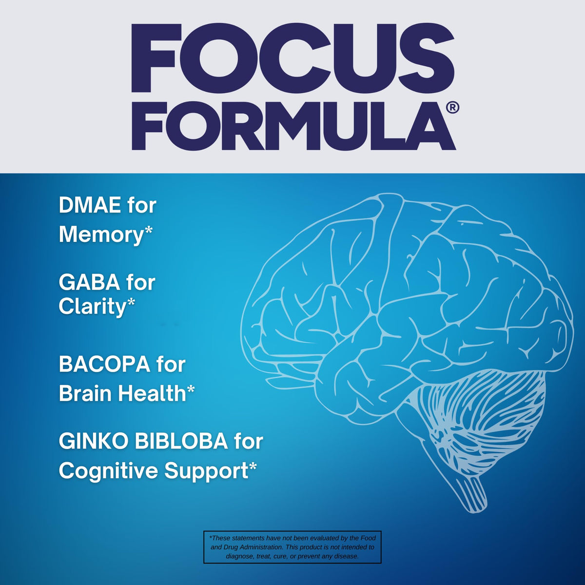 Focus Formula Microbiome Plus, présentation des ingrédients