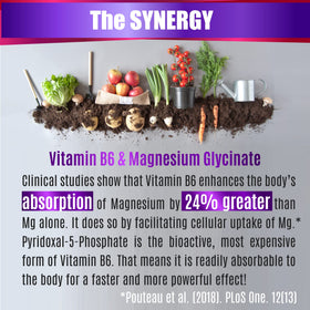 FOLONA Magnésium Glycinate 1350mg ingrédients principaux