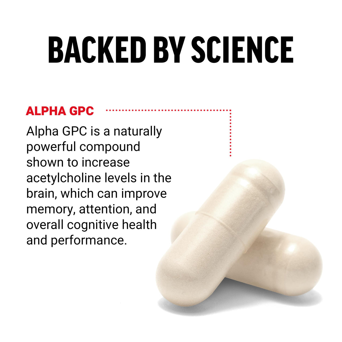 Force Factor Alpha GPC 300mg complément alimentaire arrière avec ingrédients