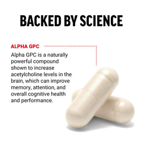 Force Factor Alpha GPC 300mg complément alimentaire arrière avec ingrédients