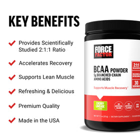 Force Factor BCAA Poudre 2:1:1 avec mesure incluse