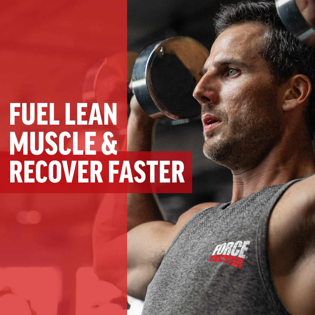 Force Factor BCAA Poudre 2:1:1 packaging