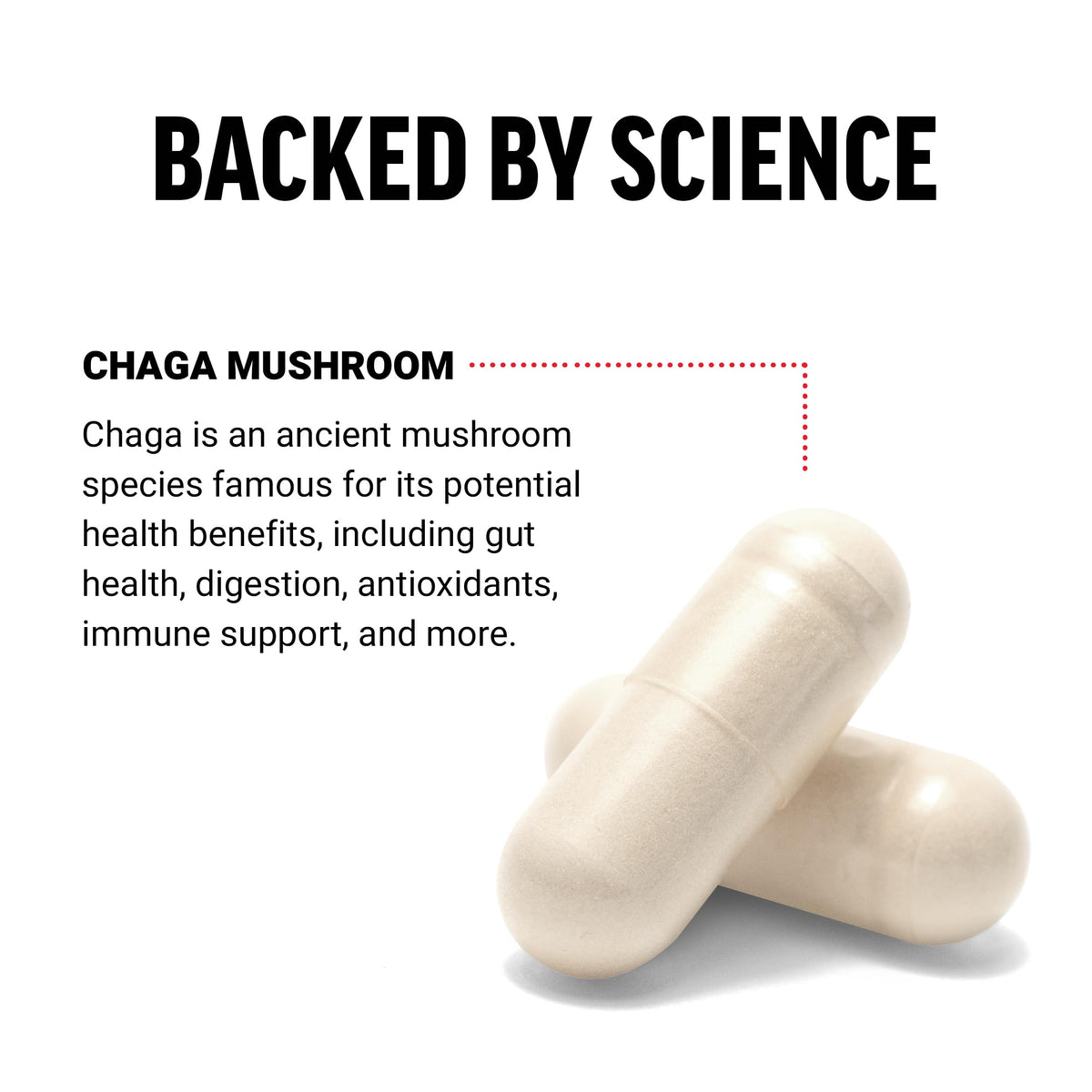Force Factor Chaga Champignons Capsules 125g vue de côté