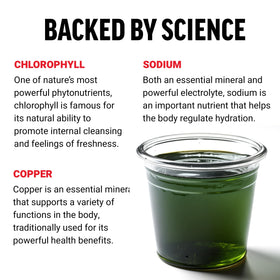 Force Factor Chlorophyll Liquide 540g sur un fond de cuisine