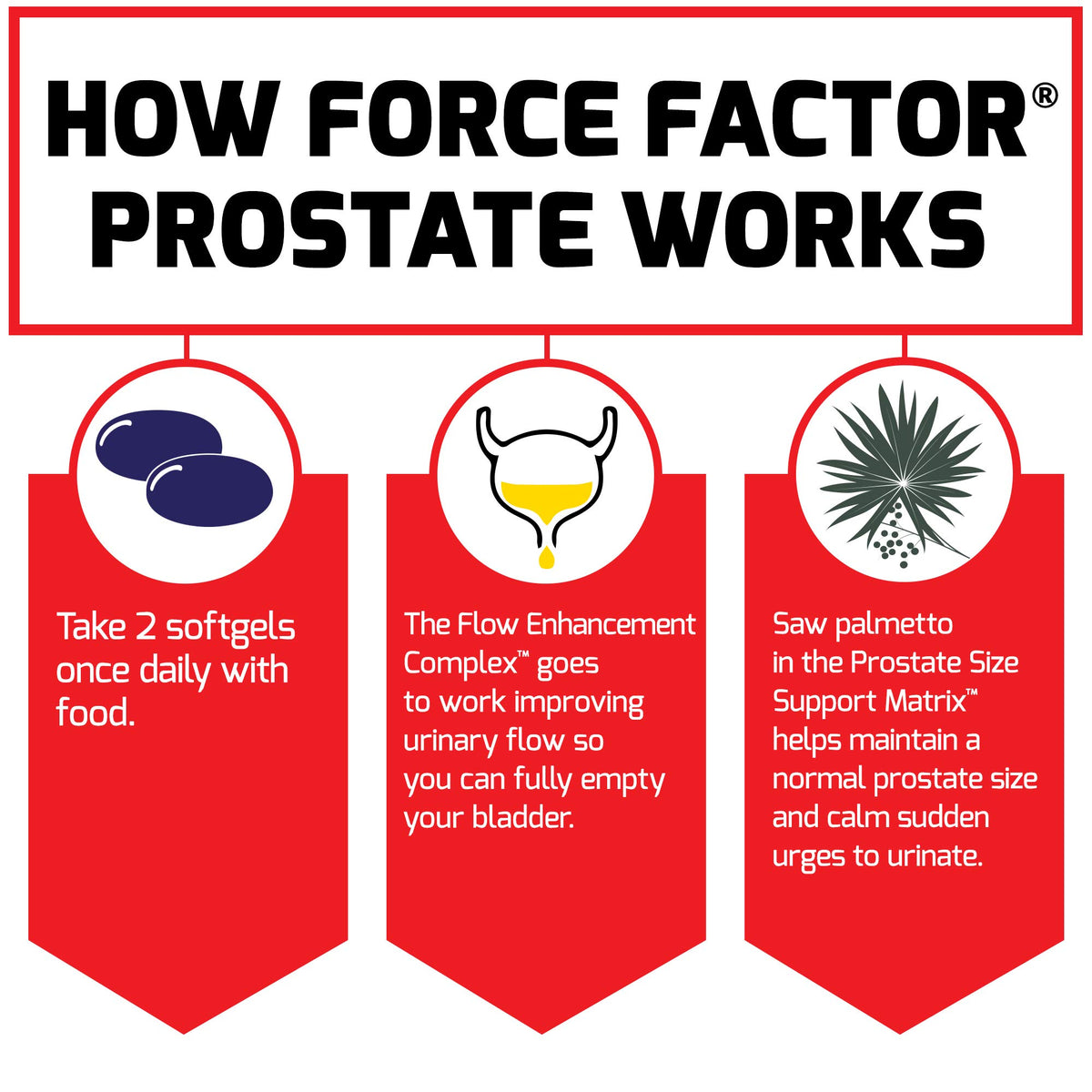 Force Factor Complément Alimentaire Prostate Saw Palmetto 259g en usage sur une table