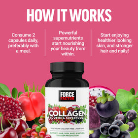 Force Factor Compléments Alimentaires Superfoods Collagène vue de côté