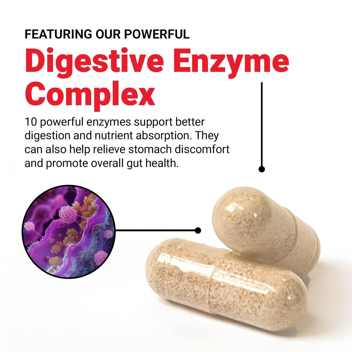 Force Factor Complex d'Enzymes daily 85g capsules