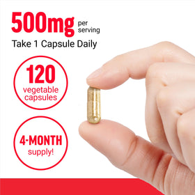 Force Factor Extrait de Boswellia Capsules sur fond blanc