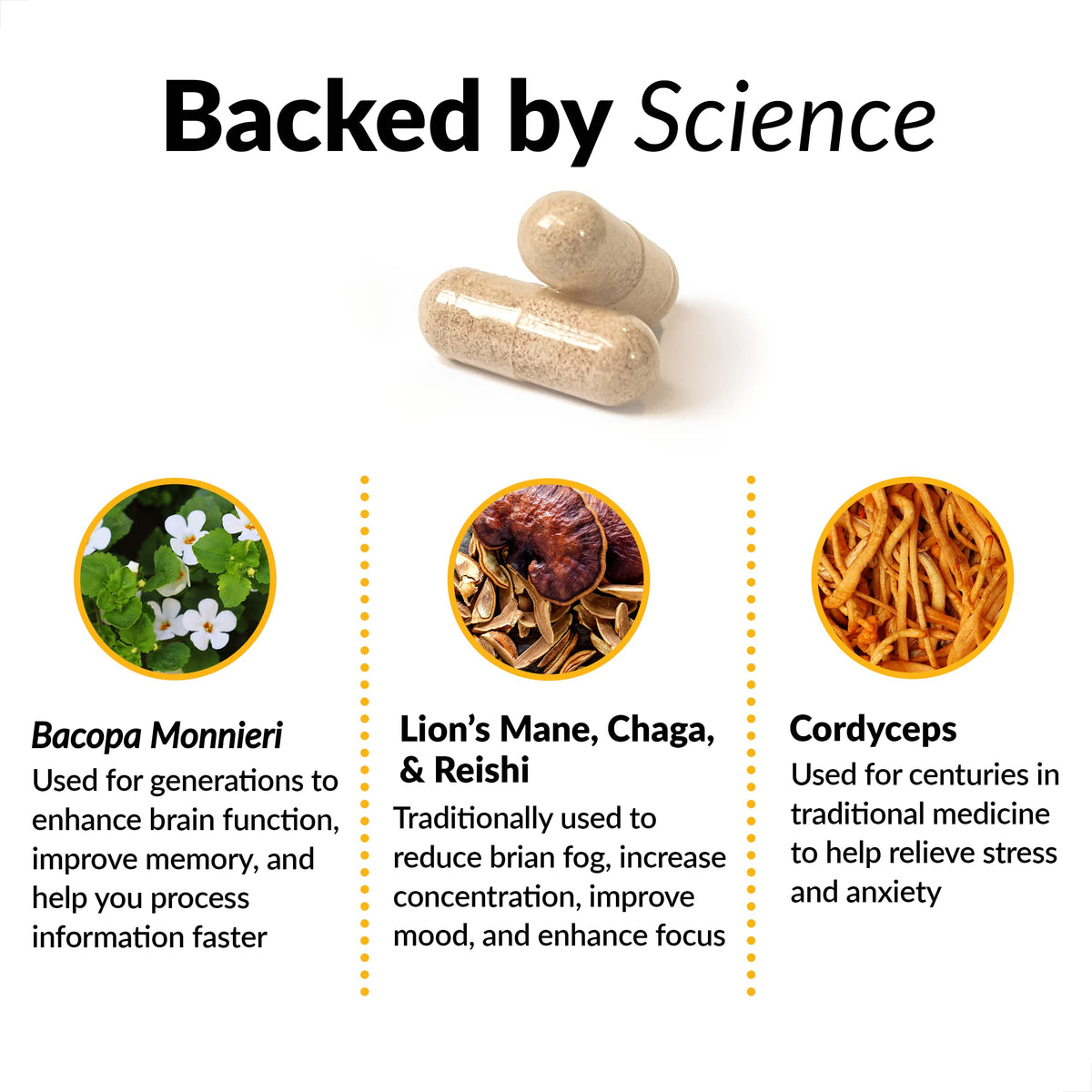 Force Factor Forebrain Focus complément alimentaire 18g avec capsules