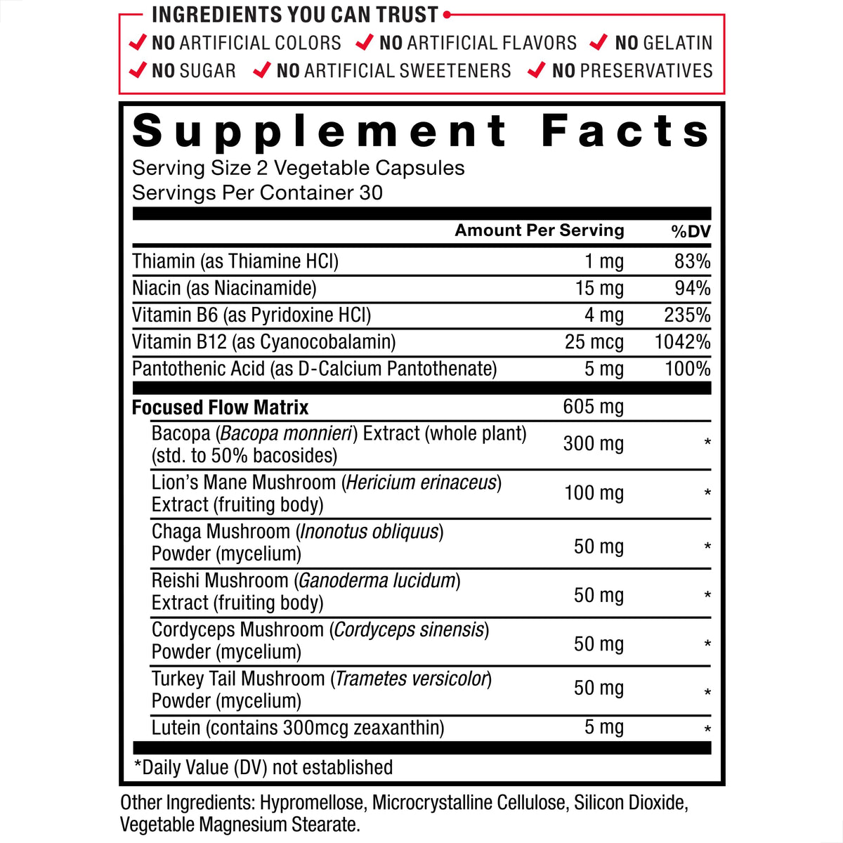Force Factor Forebrain Focus complément alimentaire 18g près d'un ordinateur