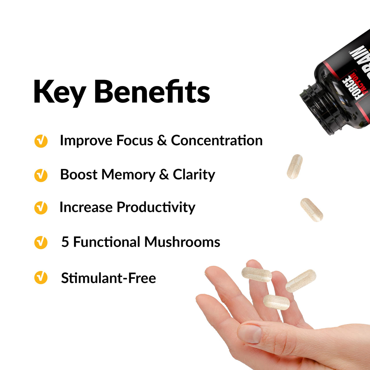 Force Factor Forebrain Focus complément alimentaire 18g vue arrière