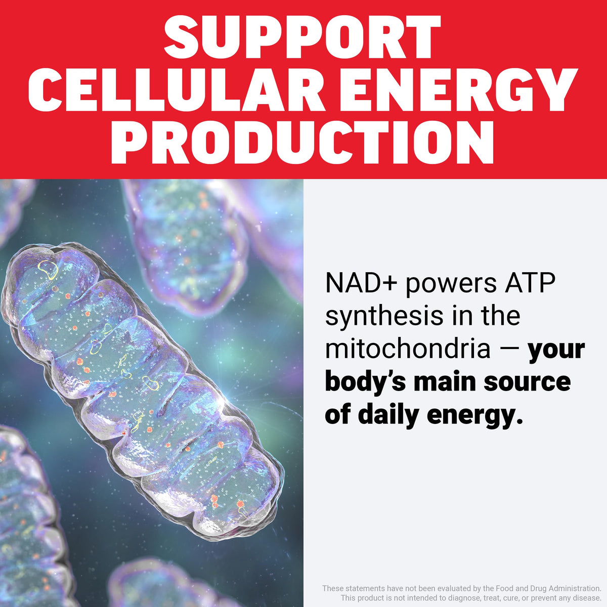 Force Factor NAD+ capsules dans la main