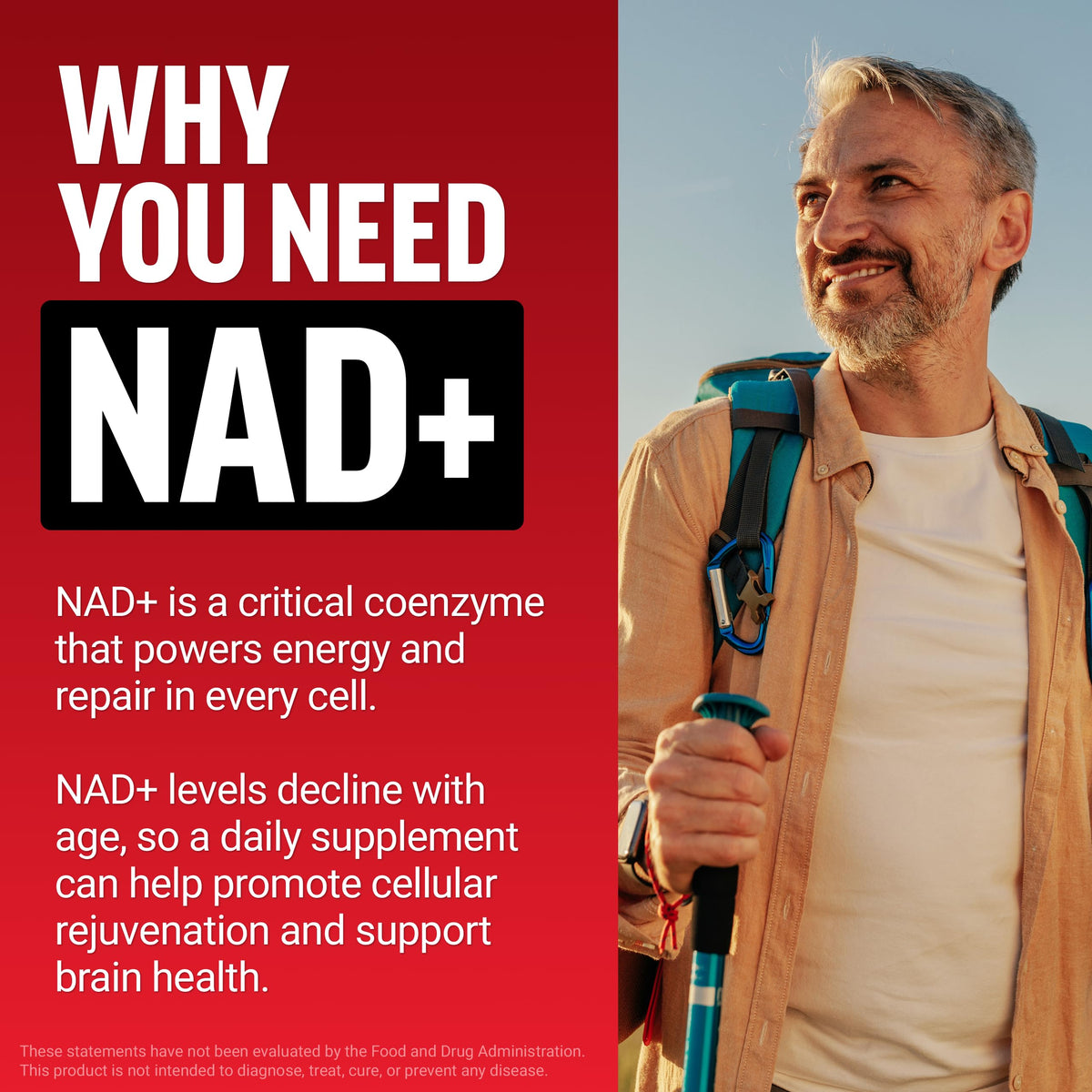Force Factor NAD+ Gommes Anti-Âge contenu de la boîte