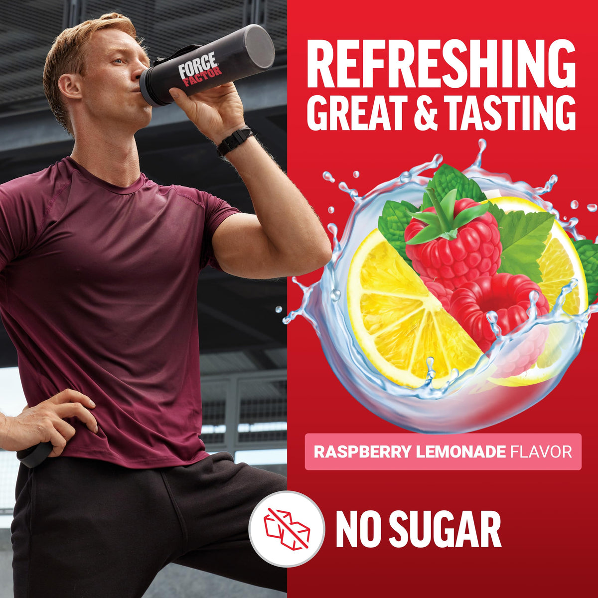 Force Factor Poudre de Créatine Monohydrate 5g à côté d'un shaker
