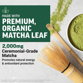 Force Factor Poudre de Matcha Mighty 109g avec cuillère dosette