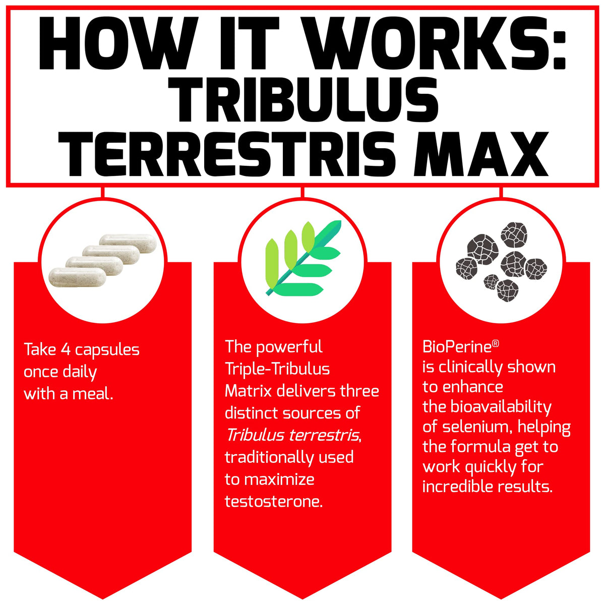 Force Factor Tribulus Terrestris Max 2000mg côté gauche
