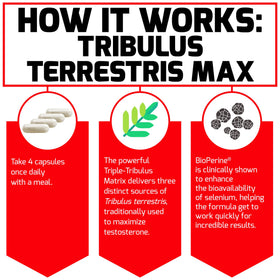 Force Factor Tribulus Terrestris Max 2000mg côté gauche