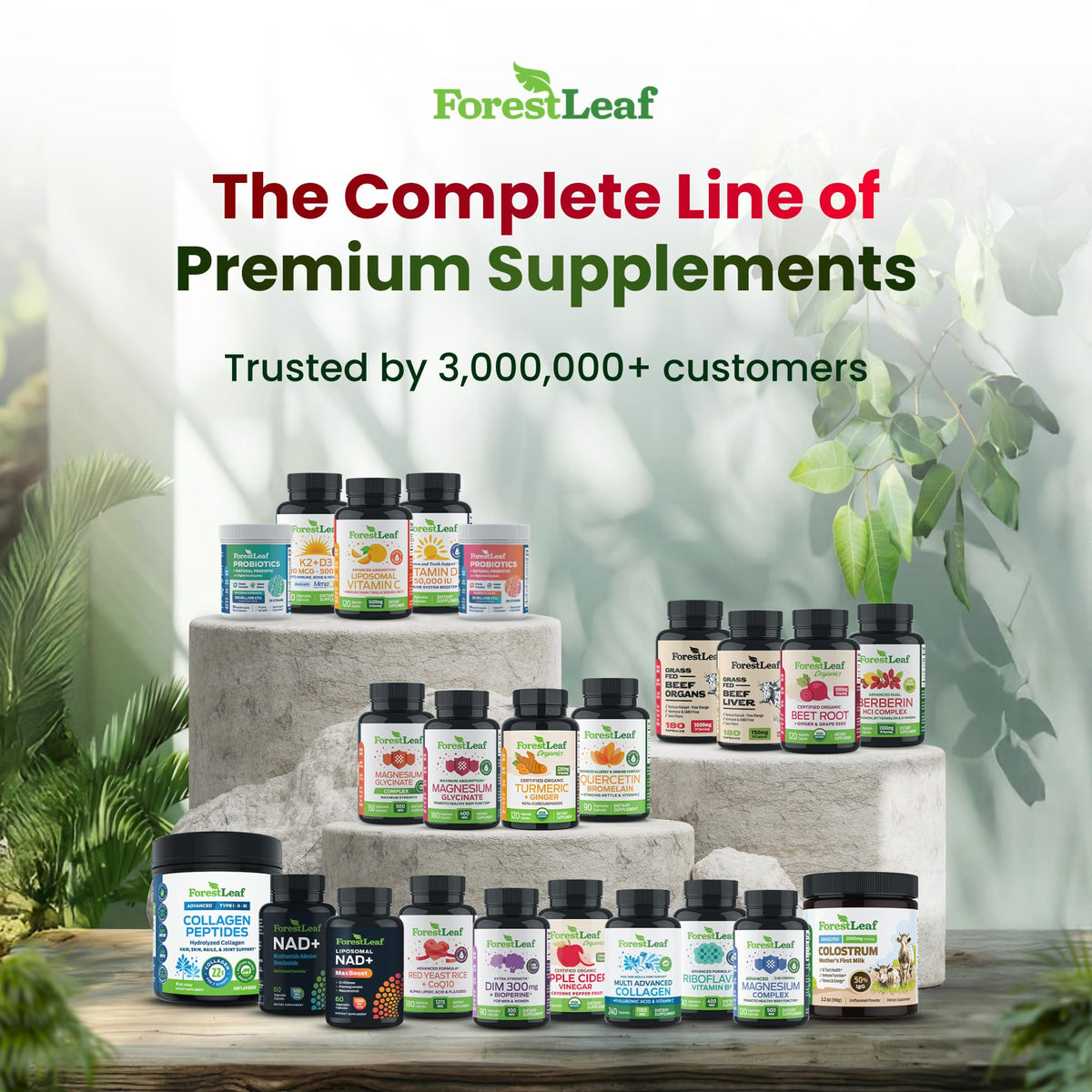 Forêt de cranberry avec capsules D-Mannose de ForestLeaf