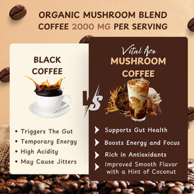 Fouet à main gratuit inclus avec le café de champignons