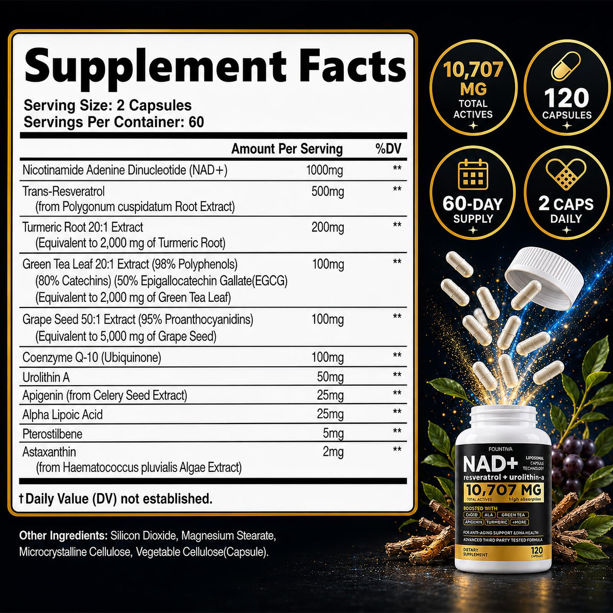 FOUNTIVA Liposomal NAD+ 10 707 mg emballage ouvert