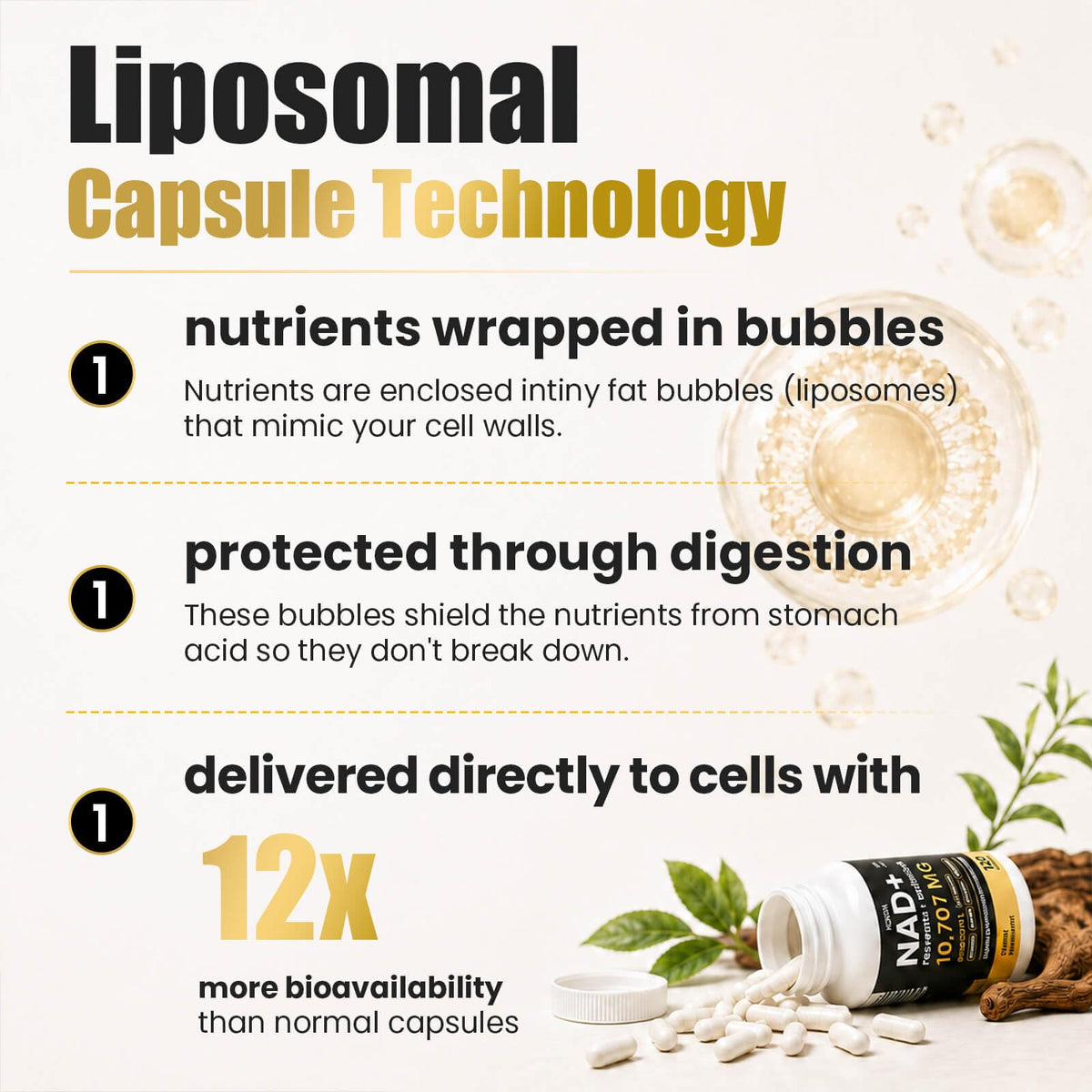 FOUNTIVA Liposomal NAD+ 10 707 mg ingrédients listés