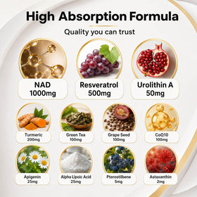 FOUNTIVA Liposomal NAD+ 10 707 mg prise quotidienne