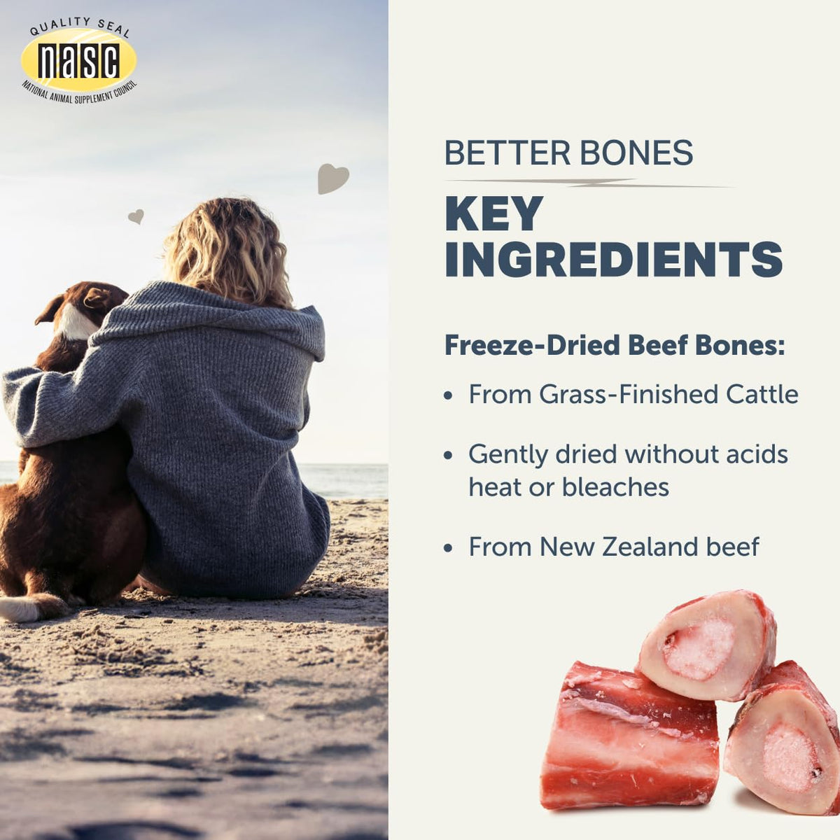 FOUR LEAF ROVER Better Bones utilisation avec un chien