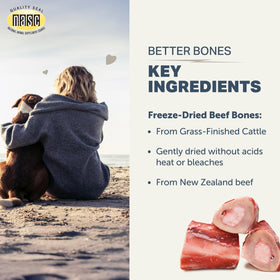 FOUR LEAF ROVER Better Bones utilisation avec un chien