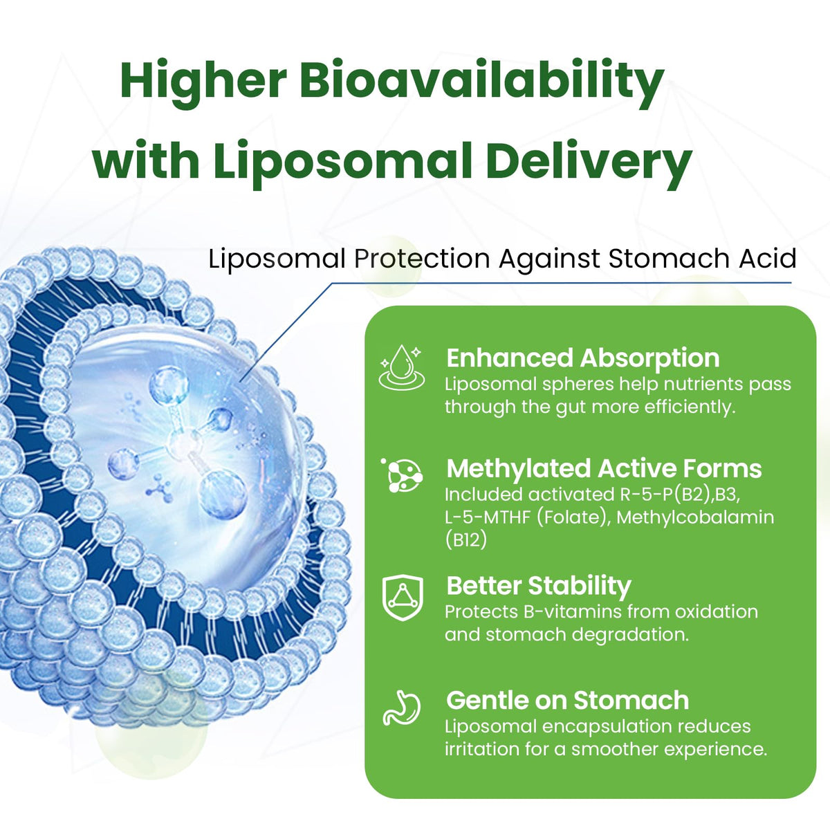 Franguly B Complex Liposomal 90 capsules vue arrière