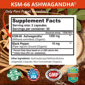 FRESH HEALTHCARE capsules d'Ashwagandha KSM-66 1200mg vue de côté