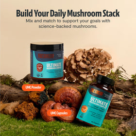 FreshCap Mushrooms complément alimentaire champignon 12:1 sur une table