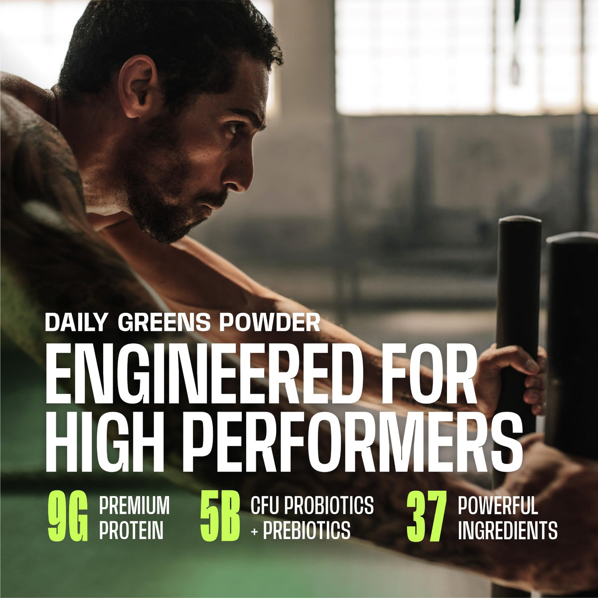 Frog Fuel Performance Greens Poudre de Protéines dans une cuisine moderne