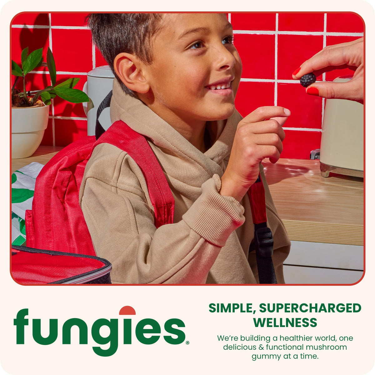 Fungies Gummies de Champignon Lion's Mane, arrière du pot