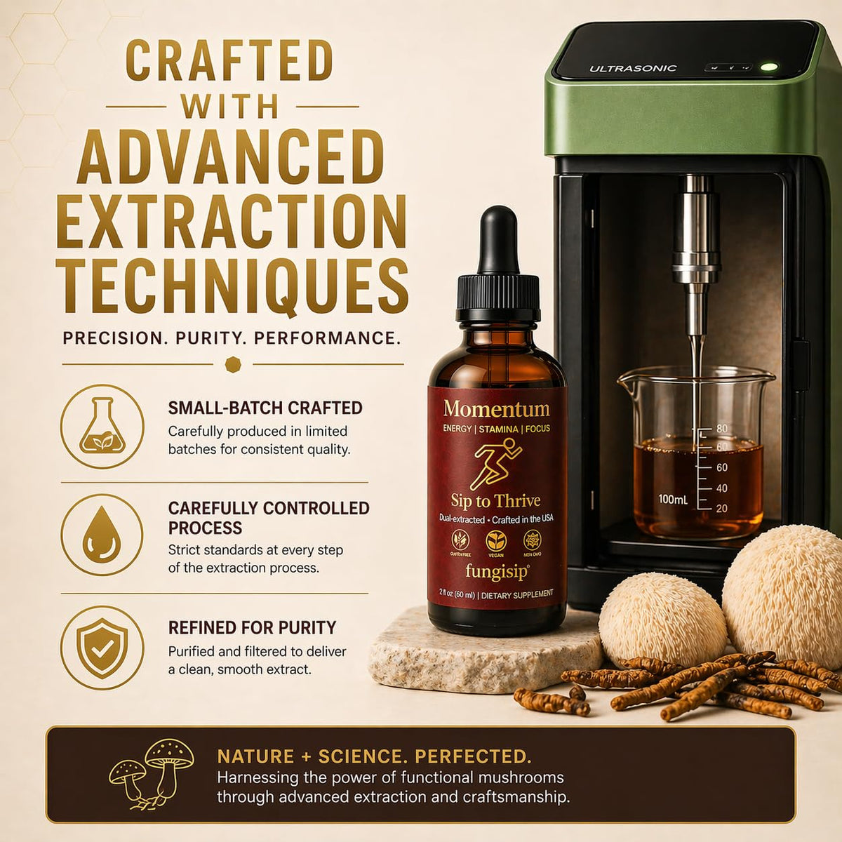 FUNGISIP Tincture Cordyceps et Lion's Mane 2 oz avec ingrédients naturels