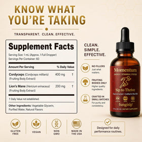 FUNGISIP Tincture Cordyceps et Lion's Mane 2 oz en gros plan