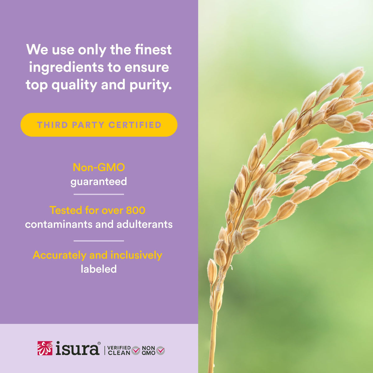 GABA Natural Factors comprimés à mâcher dans un verre