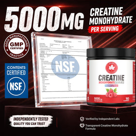 GABE SUNNYBEARS Gummies de Créatine Monohydrate 160 pièces bouteille