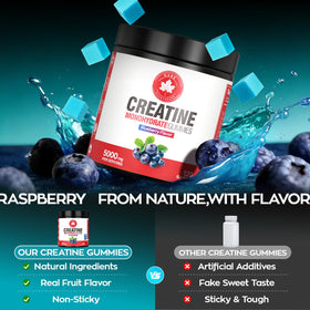 GABE SUNNYBEARS Gummies de Créatine Monohydrate 5000mg en main