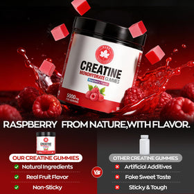 GABE SUNNYBEARS Gummies de Créatine Monohydrate avec portion de 5 000 mg