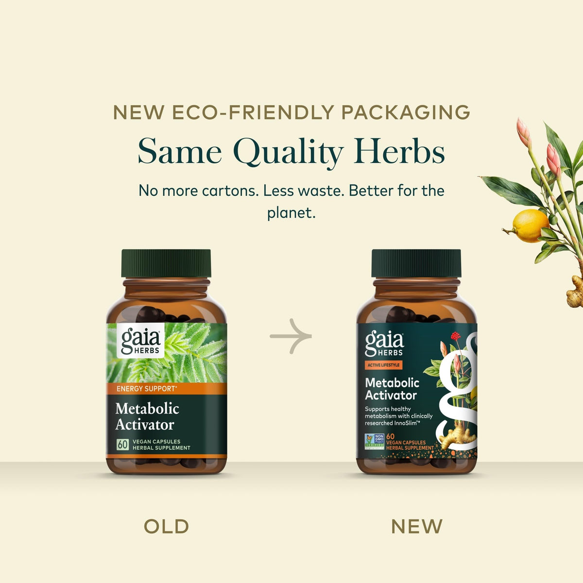 Gaia Herbs Activant Métabolique 60 Gélules Végétales en situation de consommation