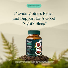 Gaia Herbs Adrenal Health Nightly Restore capsules sur fond blanc