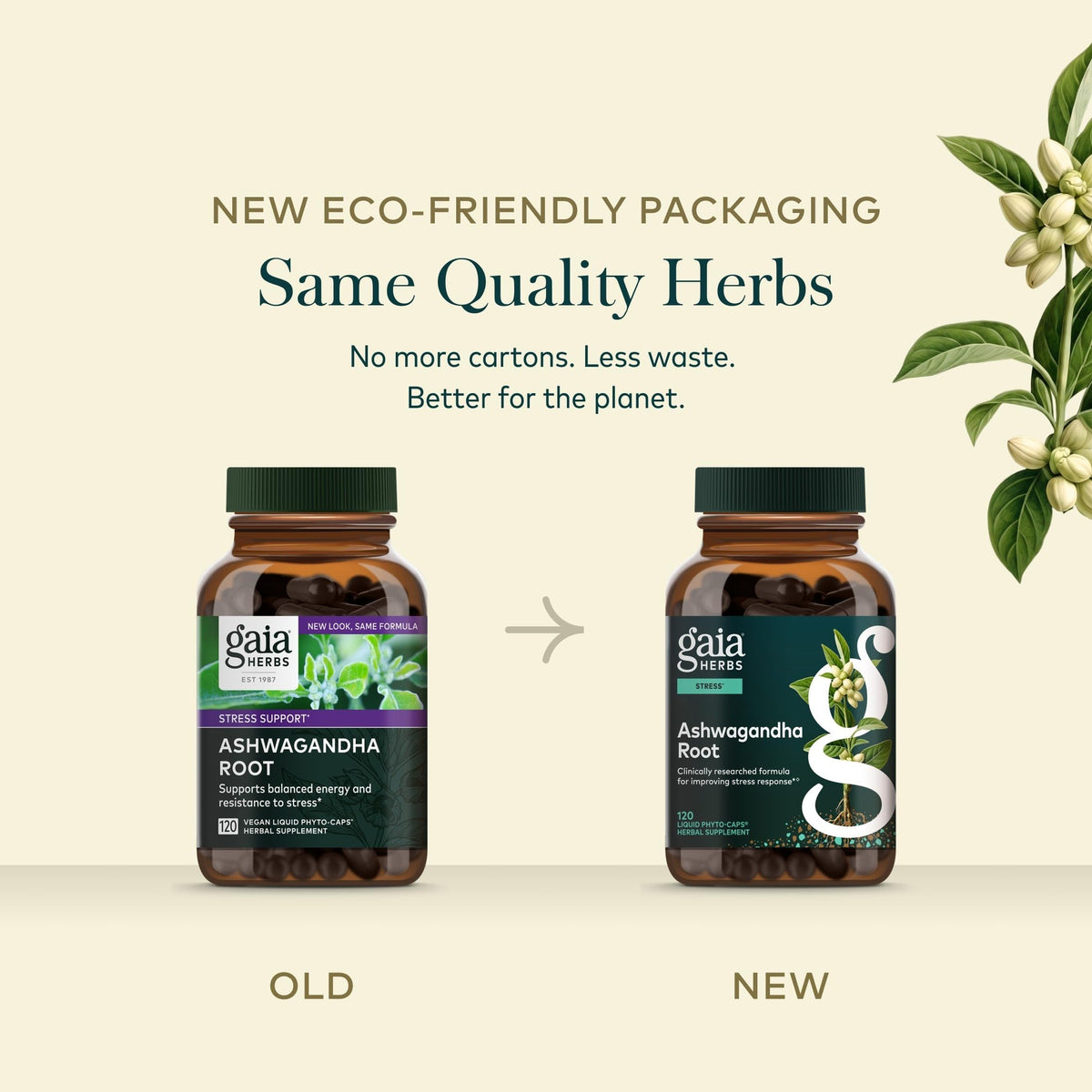 Gaia Herbs Ashwagandha avec vue de l'étiquette et des ingrédients
