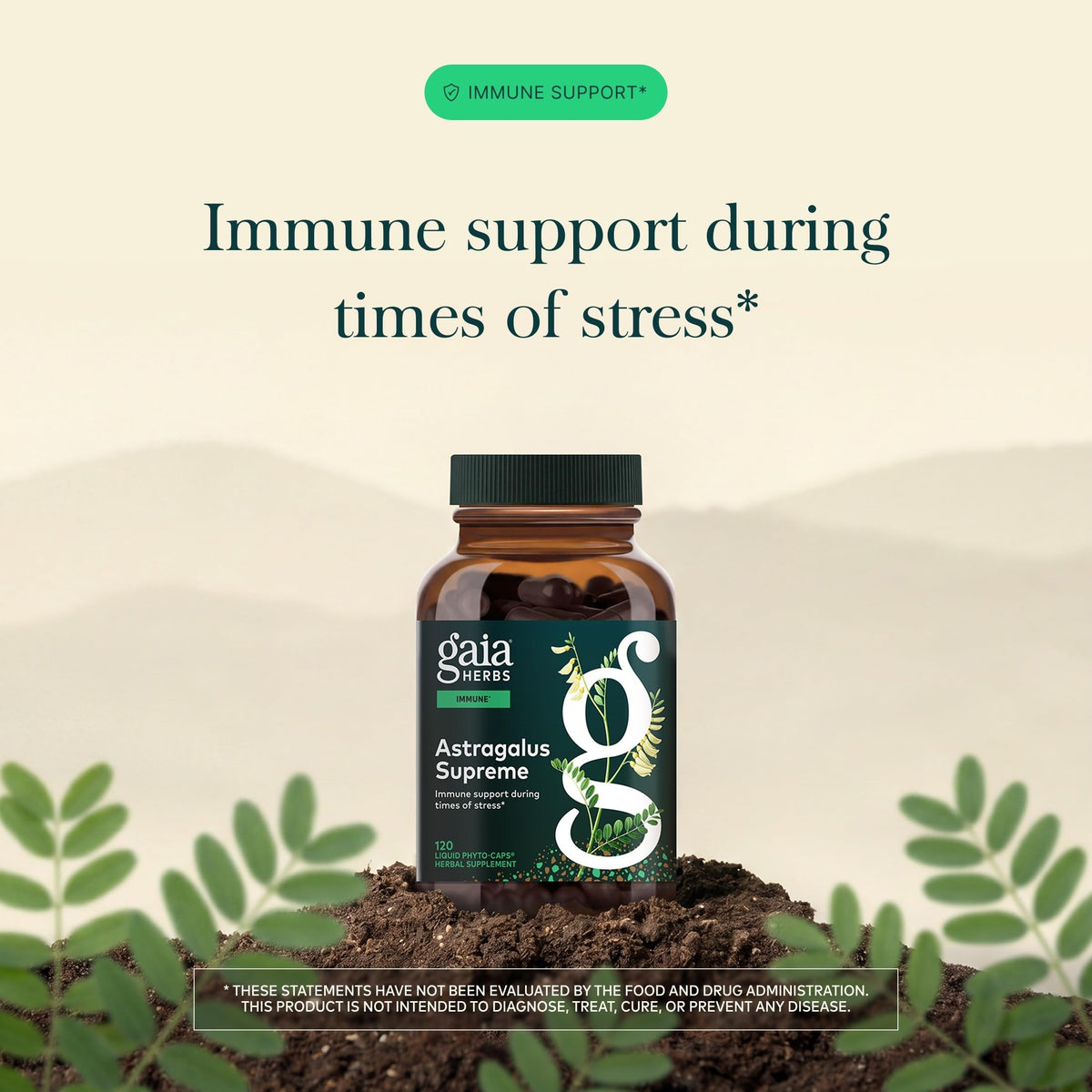 Gaia Herbs Astragalus 120 capsules végétales sur fond blanc
