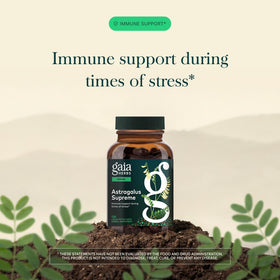 Gaia Herbs Astragalus 120 capsules végétales sur fond blanc