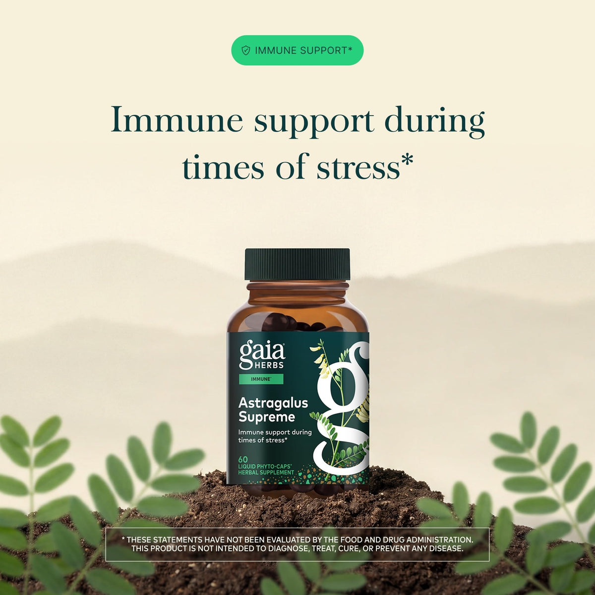 Gaia Herbs Astragalus 60 capsules sur fond blanc