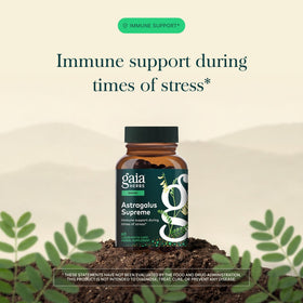 Gaia Herbs Astragalus 60 capsules sur fond blanc