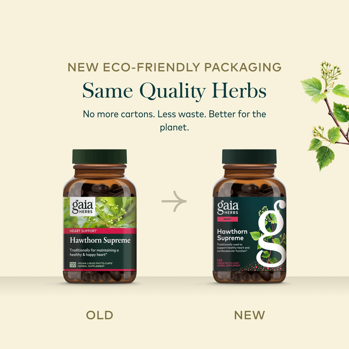 Gaia Herbs Aubépine - Récolte manuelle des plantes