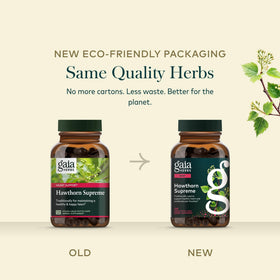 Gaia Herbs Aubépine - Récolte manuelle des plantes